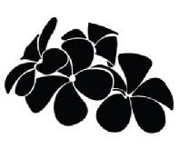 Image-Frangipani